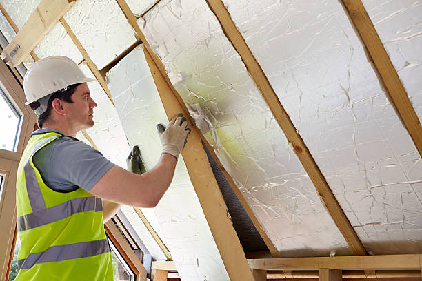 Best Insulation Installation Services in Isanti, MN